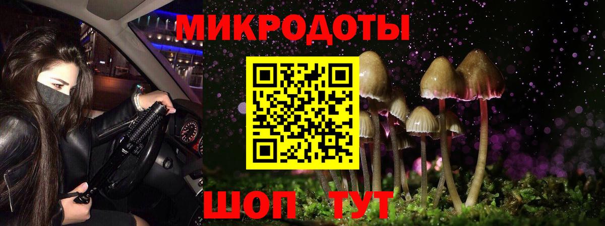 Владикавказ  Псилоцибиновые грибы Psilocybine cubensis  Вход с VPN 